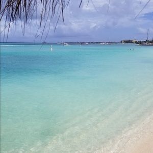 Meet your Posher, Rhoda